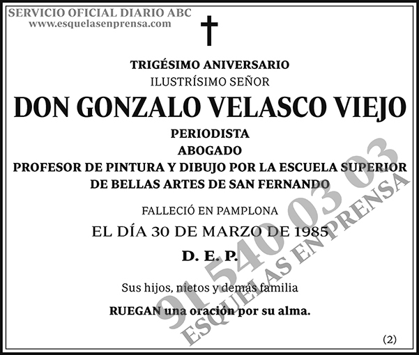 Gonzalo Velasco Viejo
